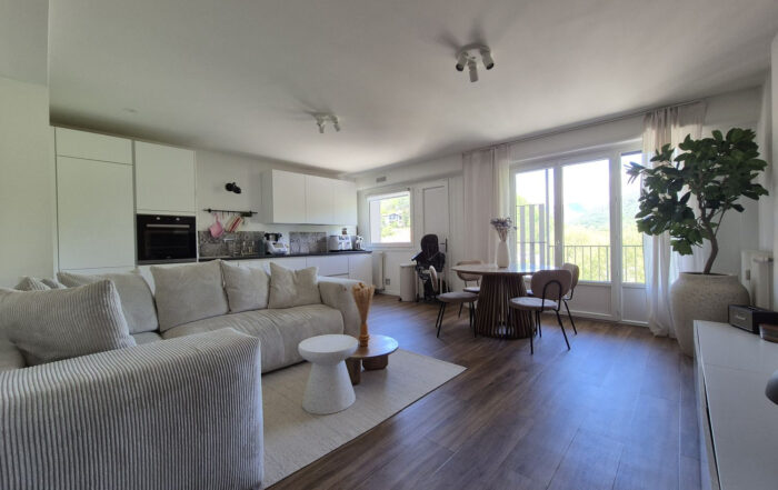 Appartement à Albertville